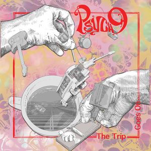 The Trip Goes On cover