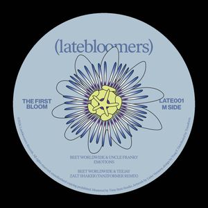 Various – The First Bloom