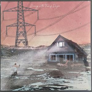 Dancing In The Face Of Danger / The Thing With Feathers cover