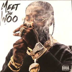 Meet The Woo V.2 cover