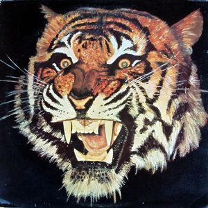Tiger – Tiger