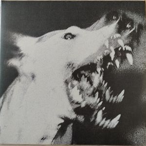 Ciśnienie – [Angry Noises]