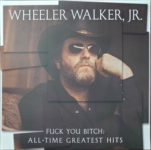 Fuck You Bitch: All-Time Greatest Hits cover