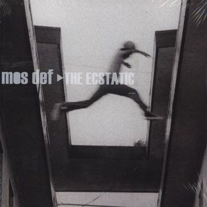 The Ecstatic cover