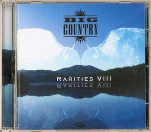Rarities VIII cover