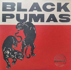 Black Pumas cover