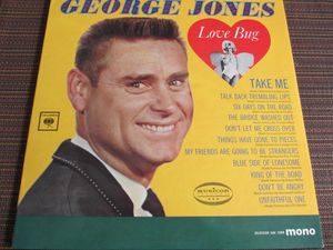 Love Bug cover