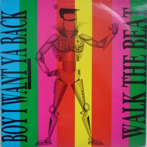 Boy I Want Ya Back by Walk The Beat