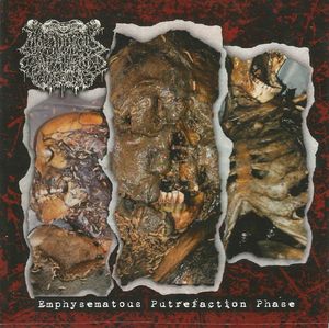 Emphysematous Putrefaction Phase cover
