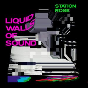 Liquid Walls Of Sound by Station Rose