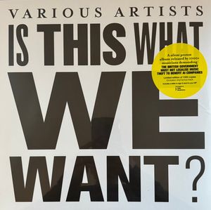 Is This What We Want? cover